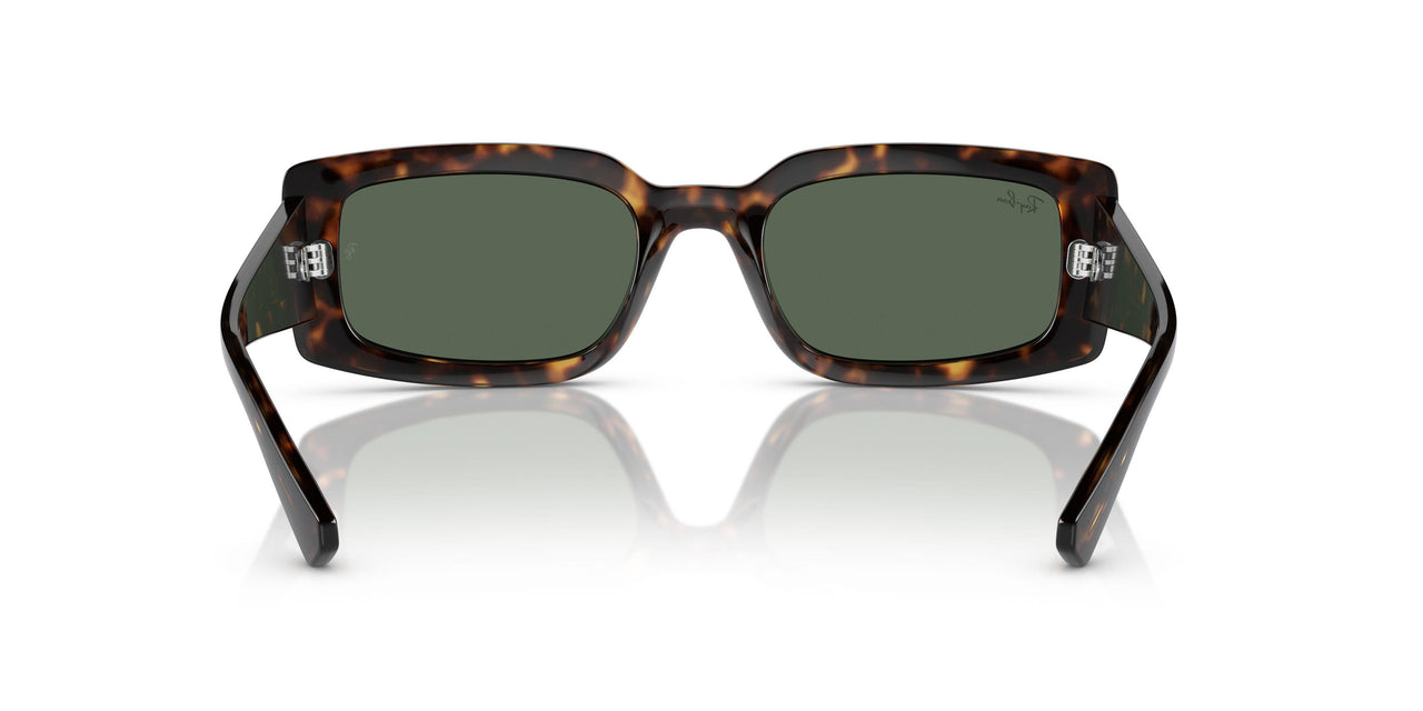 135971 - Tortoise - Grey Black