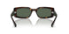 135971 - Tortoise - Grey Black