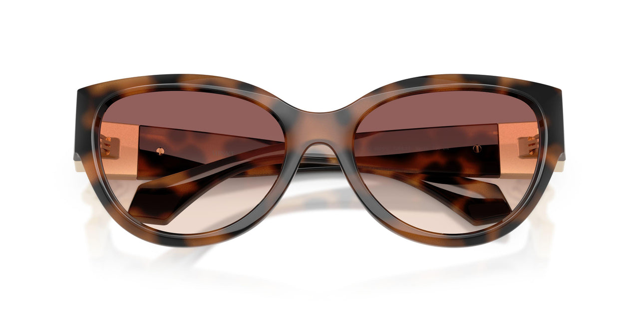 526420 - Brown - Pink Gradient Violet