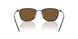 300173 - Black - Brown