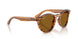 679183 - Brown - Dark Brown Polarized