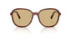 26E10R - Brown - Yellow
