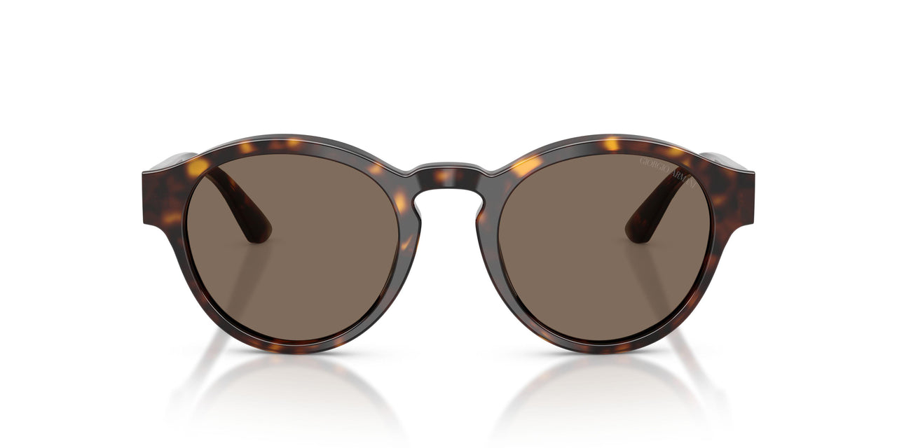 502673 - Brown - Dark Brown