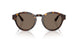 502673 - Brown - Dark Brown