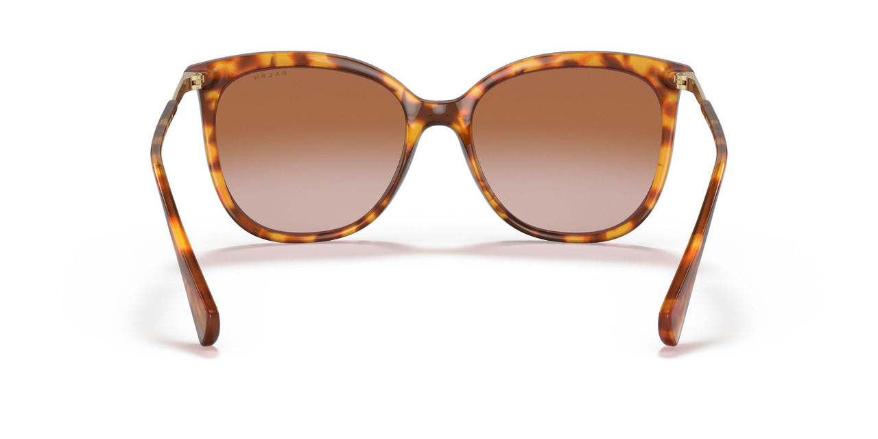 591113 - Havana - Gradient Brown