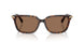100273 - Tortoise - Dark Brown