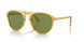 204/4E - Yellow - Green