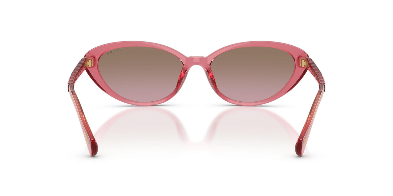 628614 - Orange - Rose Gradient