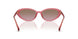628614 - Orange - Rose Gradient
