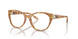 6083 - Tortoise