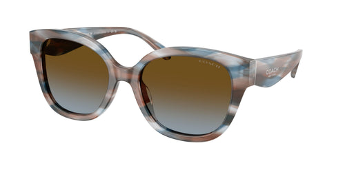 Coach Cby94 8438U Sunglasses