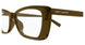 004 - Brown - Transparent