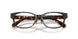 8015 - Tortoise