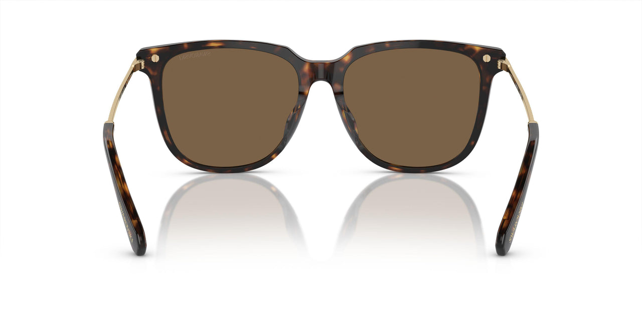 100273 - Brown - Brown