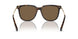 100273 - Brown - Brown