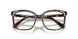 1002 - Tortoise
