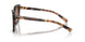 07R0A6 - Tortoise - Brown Gradient