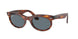 954/3R - Brown - Dark Blue