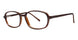 Modern Plastics II RALPH Eyeglasses