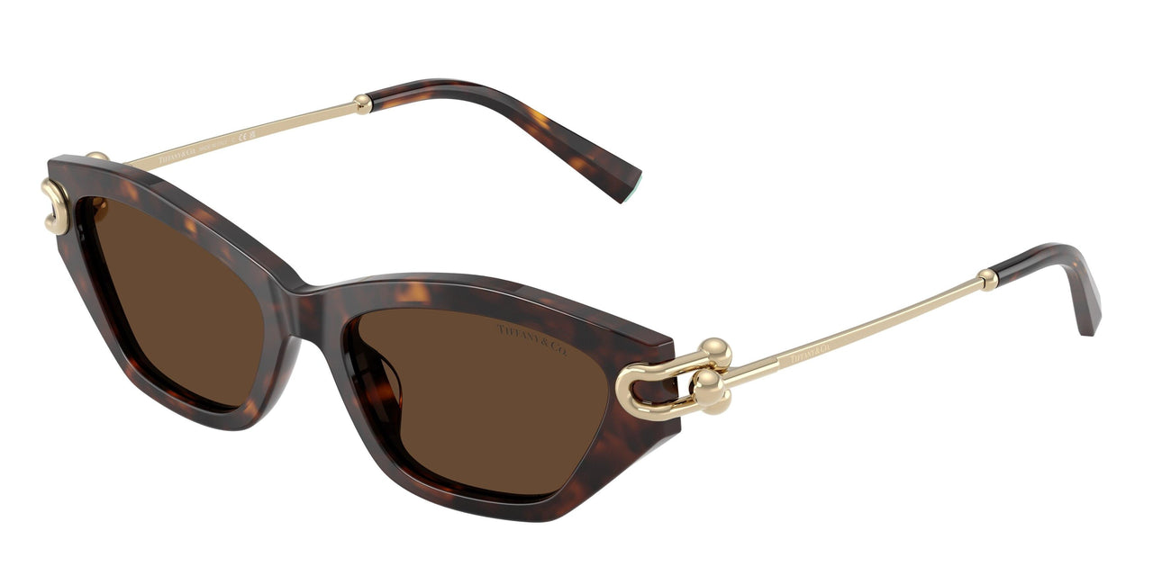80153G - Tortoise - Light Brown