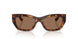 512173 - Tortoise - Dark Brown