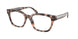 6307 - Tortoise