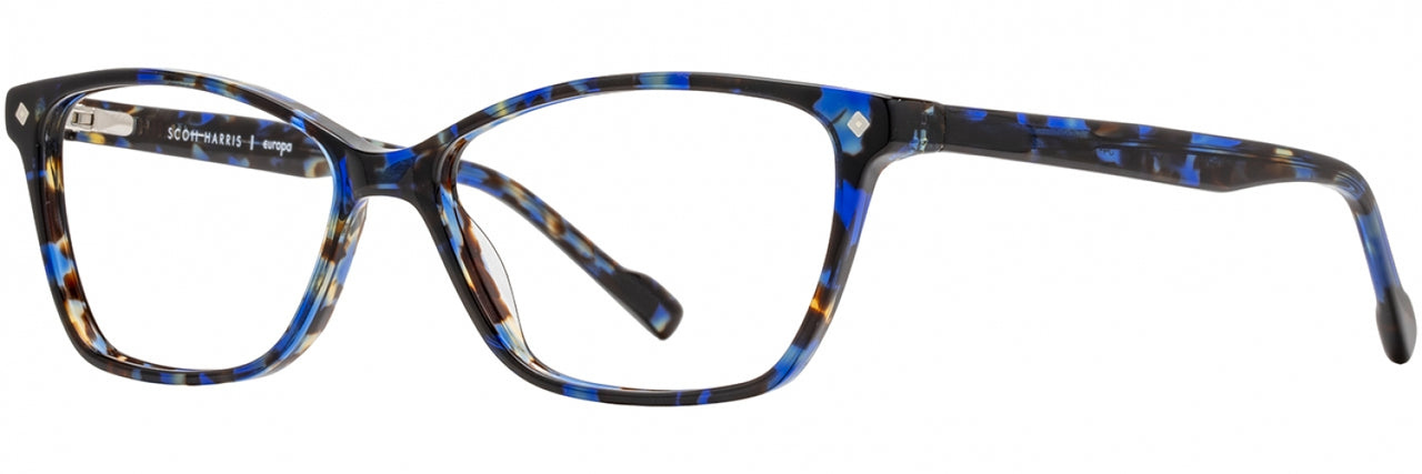 4 - Cobalt Tortoise