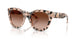 508013 - Tortoise - Gradient Brown