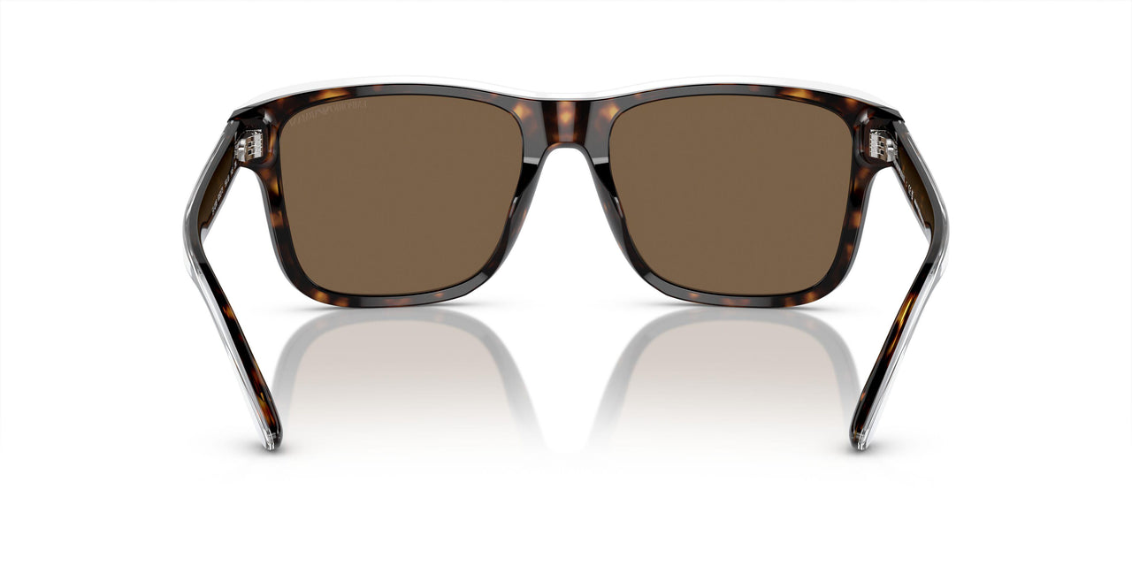 605273 - Tortoise - Dark Brown