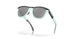 928403 - Grey - Prizm Black