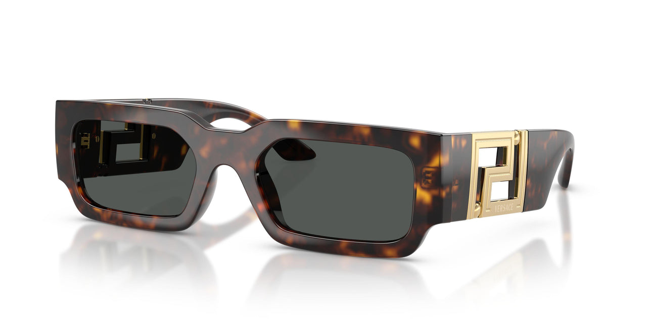 108/87 - Tortoise - Dark Grey