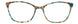 TTL - Tortoise Teal