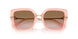 343611 - Pink - Pink Gradient Grey
