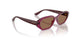 327173 - Red - Dark Brown