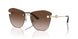 300613 - Gold - Gradient Brown