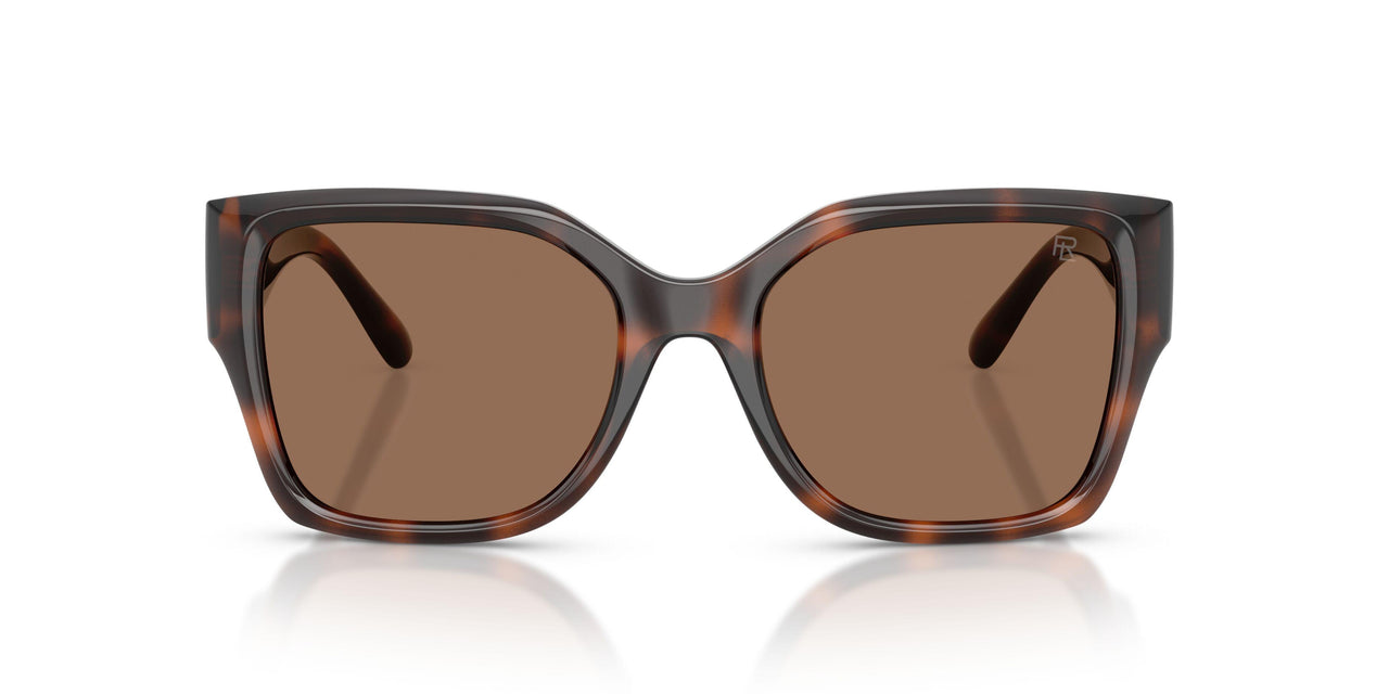 624173 - Tortoise - Brown