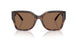 624173 - Tortoise - Brown