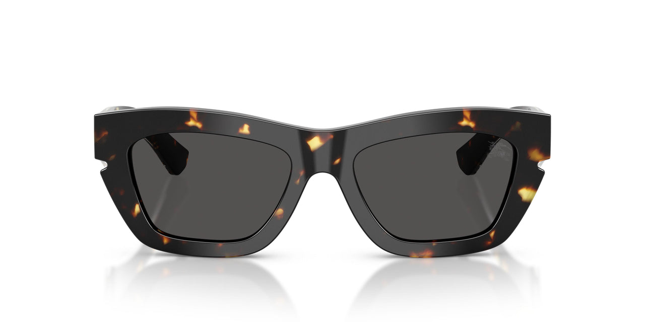 410687 - Tortoise - Dark Grey