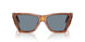 96/56 - Brown - Light Blue