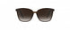6030 - PURE BROWN - SLM Dark Brown Gradient