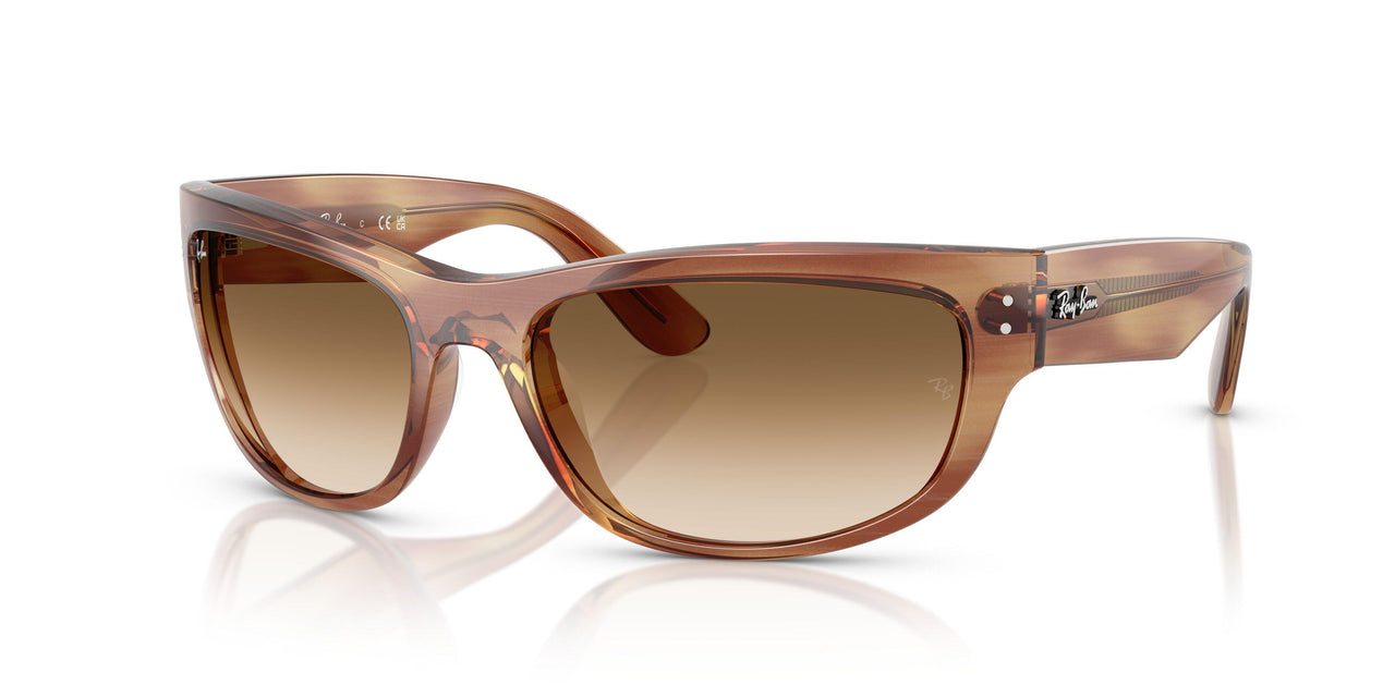 140351 - Tortoise - Clear Gradient Brown