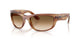 140351 - Tortoise - Clear Gradient Brown