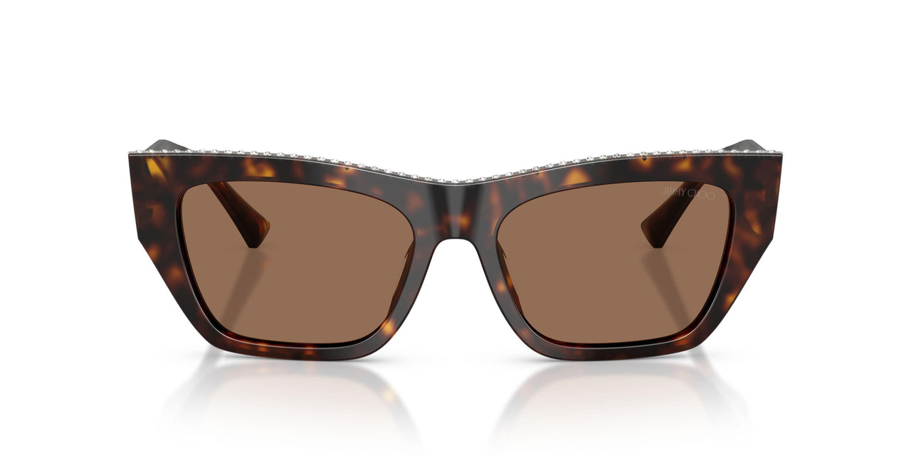 500273 - Tortoise - Dark Brown