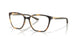801304 - Tortoise