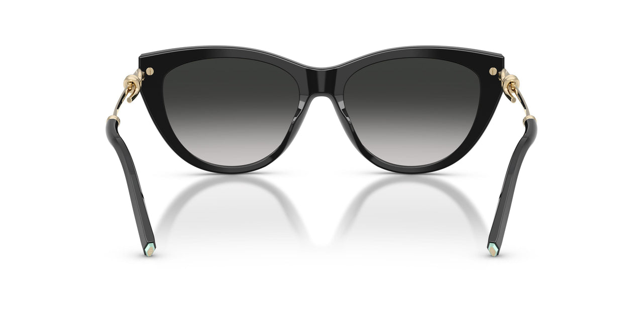 80013C - Black - Grey Gradient