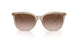 836613 - Brown - Gradient Brown