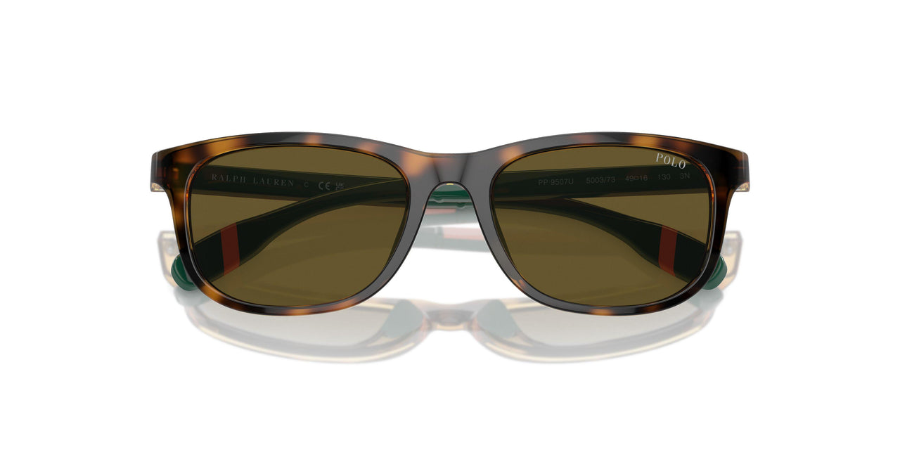 500373 - Tortoise - Olive Green