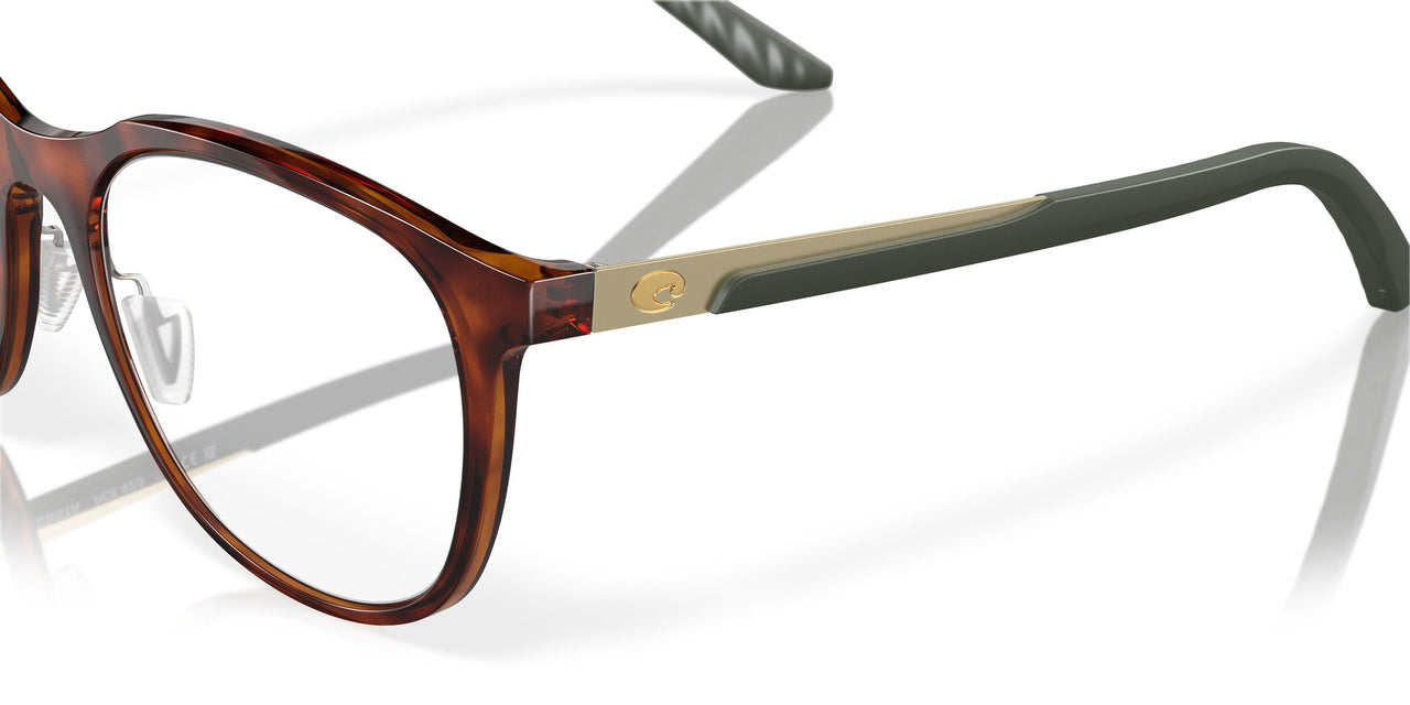 802802 - Tortoise