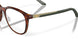802802 - Tortoise