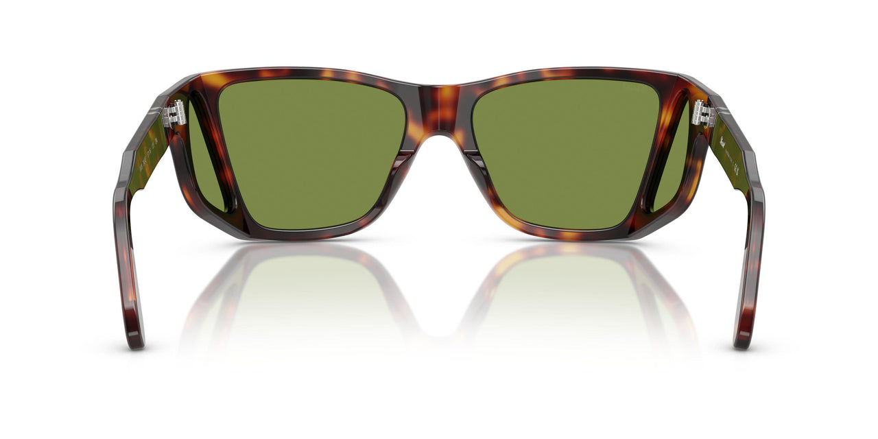 24/4E - Tortoise - Green
